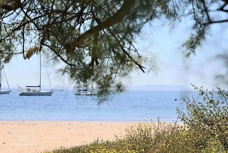 Le Rivage - A 50M De La Plage Des Salins - Piscine Hyeres 0*,